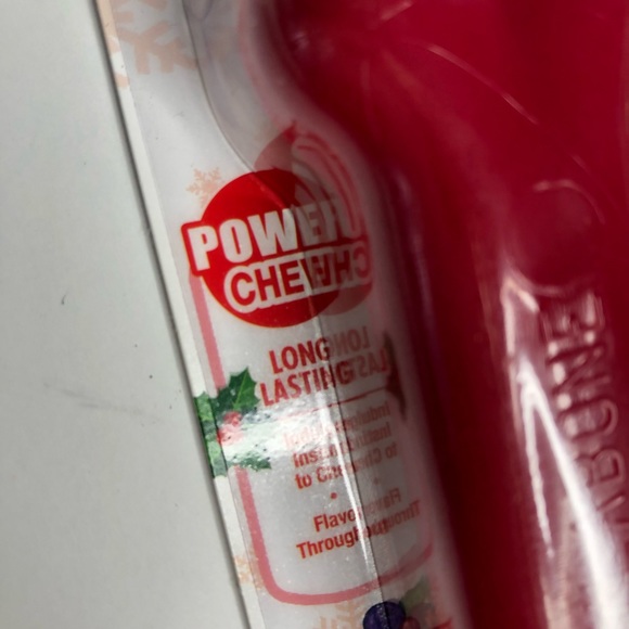 2 Pack Nylabone long lasting chew bones Winter Green, Turkey & Berries Flavor - Picture 4 of 9